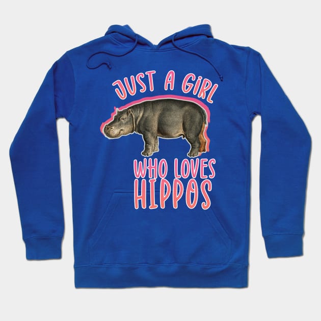 Just a girl who loves hippos. hippo lover Hoodie by SameDan